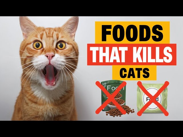 WARNING: 15 Dangerous Foods Your Cat Should Never Eat! | Cat Safety & Health Tips