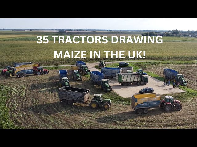 Maize 2024 in the UK (35 tractors drawing)