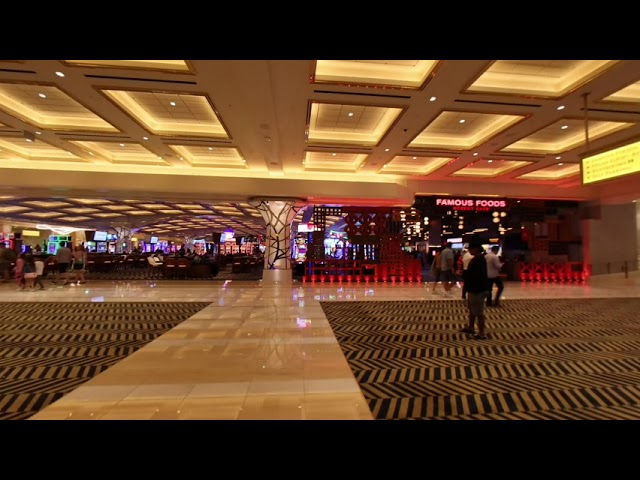 Resort World Vegas 3D VR 180° 8K video TEST vid 35 Oculus pimax HTC Google Virtual Reality