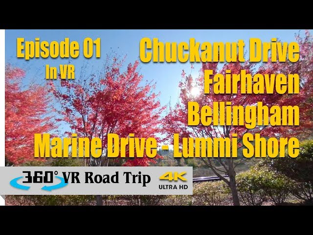 Beautiful Nature Scenery in VR | Episode 01 | 360 VR Road Trip