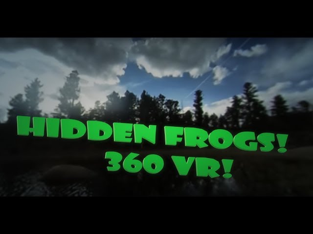 Mile High Frogs -- 360 VR!