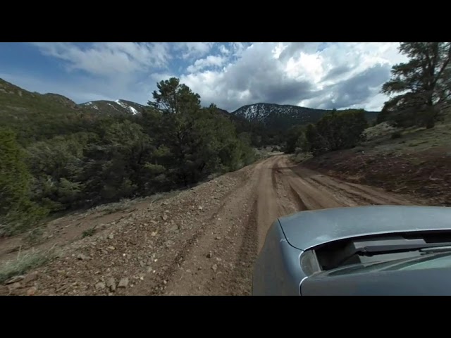 Whispers of the Wilderness: A VR180 Drive through Nevada's Pine-Covered Hills