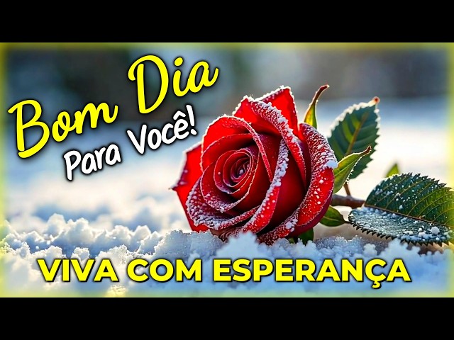 Mensagem de Bom Dia e Reflexão: Viva o Presente com Esperança