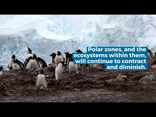 Climate change and extreme events are changing the biology of Polar Regions