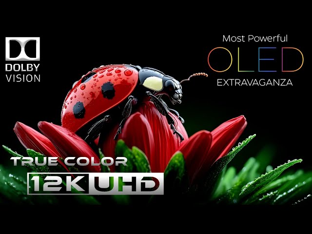 Most Powerful OLED Extravaganza in HDR 12K Dolby Vision™ 120FPS | 2024 Dolby Atmos 5.1