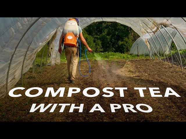 How to Make Compost Tea Like a PRO