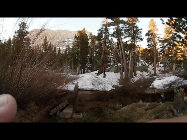 Mt. Whitney 5/28/2017 Log Crossing