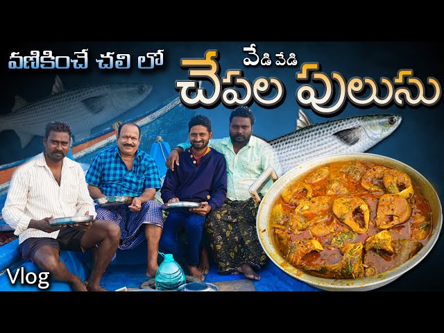 మొదటిసారి బోట్ లో వంట చేశాను || Meva chepala pulusu || Cooking in boat | Krishna river | Mullet fish