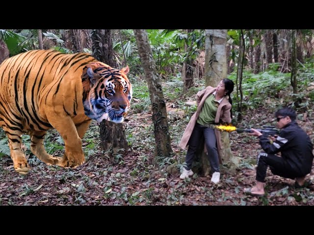 Woman was suddenly attacked by a tiger in the forest while traveling