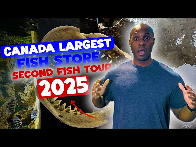 Crazy COOL Fish 2nd fish Tour of 2025 in CANADA