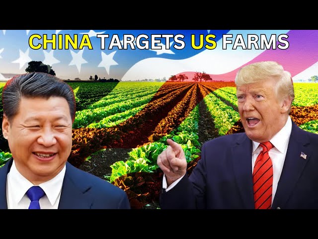 china shuts down $164 billion u.s. farming industry- A Strategic Power Move