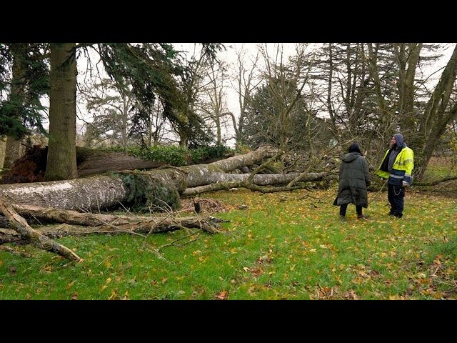 A Storm Hits The Mucky Mansion