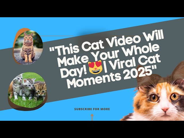 "This Cat Video Will Make Your Whole Day! 😻 | Viral Cat Moments 2025 #cats  #CatVideo #fypシ゚ #funny