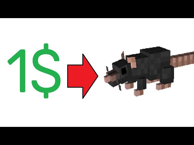 1 DOLLAR = 1 RAT 🐀