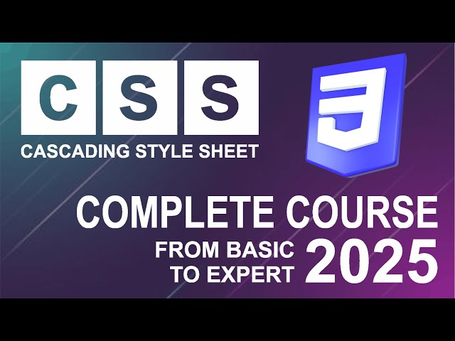 CSS Tutorial 2025  | 02 CSS Selectors