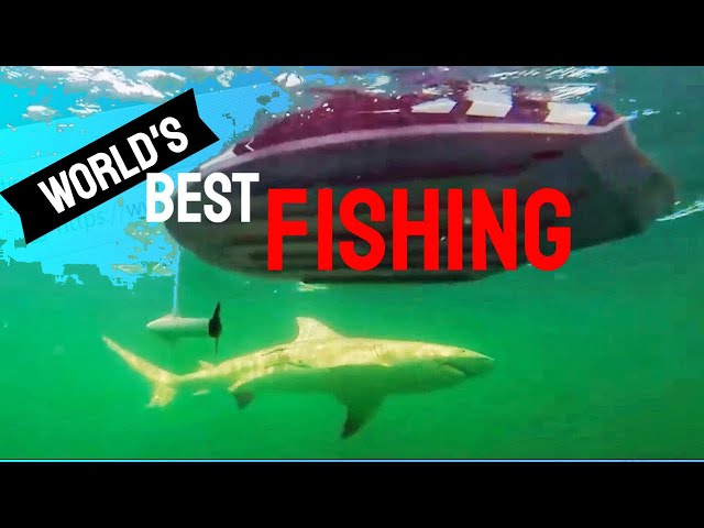 World's Best Fishing Tiny Boat! Strongest Fish Sharks + Goliath Grouper