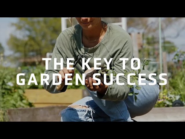 Preparing Your Garden for a Successful Growing Season | Essential Steps and Tips