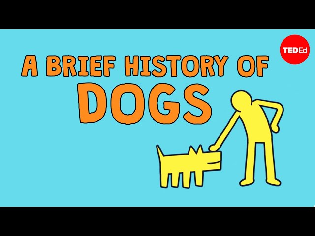 A brief history of dogs - David Ian Howe