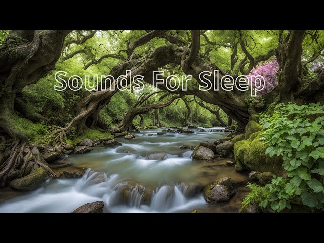 Soft relaxing music, Relaxing piano music, Lullaby music, Water sounds, nature sounds, meditation mu