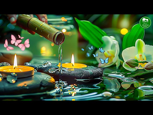 Relaxing Music for Sleep, Healing, Concentration, Work, Calming Music, Meditation Music🌿 Water Sound