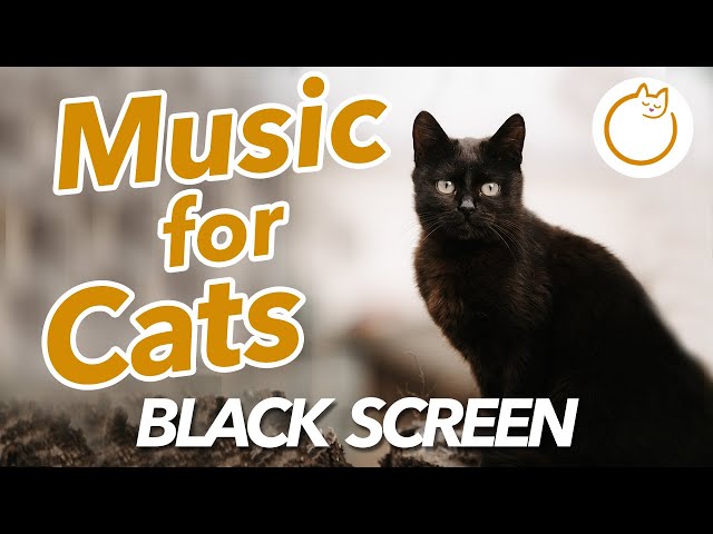 Music for Cats DARK SCREEN + 8 HOURS