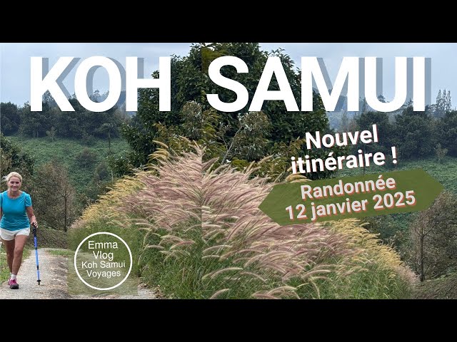 Randonnée sur les hauteurs de Koh Samui : vallées, vergers et paysages - Nouvel itinéraire !