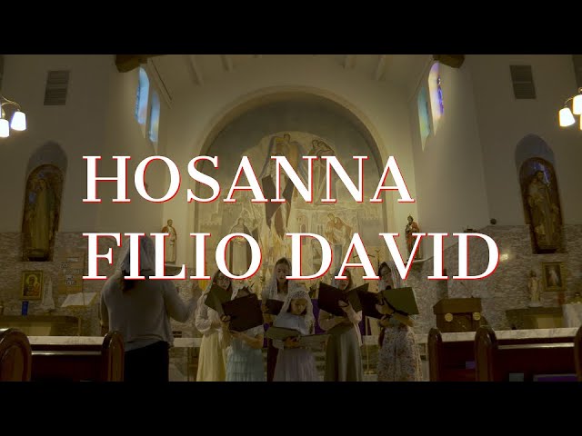 Hosanna Filio David | Traditional Palm Sunday Hymn | Schola Cantorum Gloriae Dei