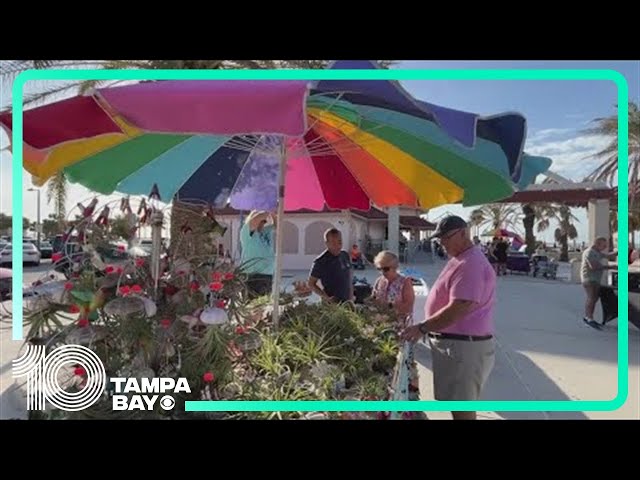 Sunsets at Pier 60 returns to Clearwater Beach