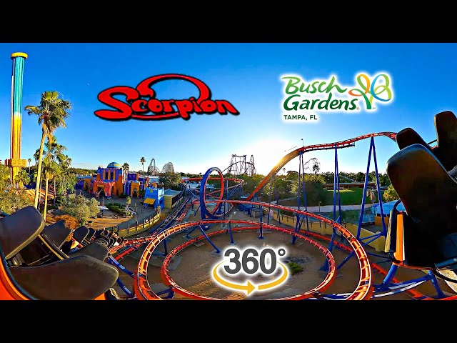 VR 360 Scorpion Roller Coaster On Ride Back Car POV Busch Gardens Tampa 2023 10 31