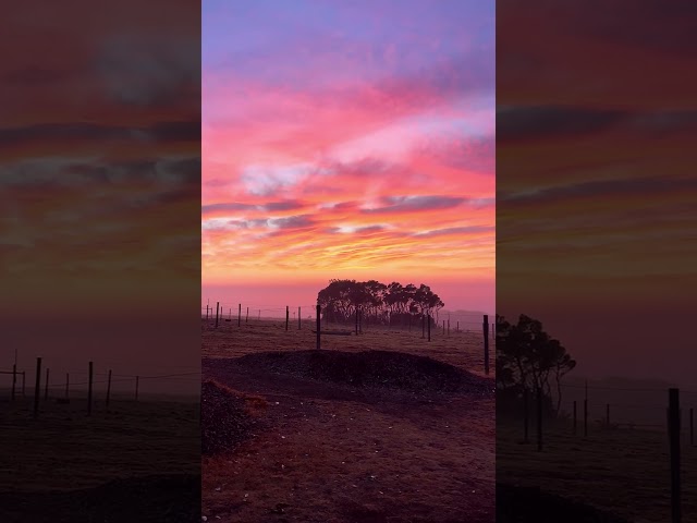 The #sky hits differently in #phillipisland, #melbourne, #australia #reels #travel