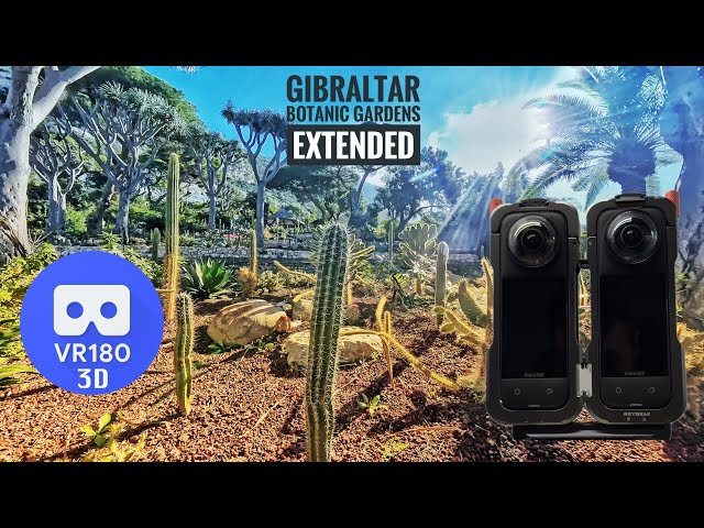 [8K][VR180][3D] Gibraltar - Botanic Gardens Extended (Meta Quest 3 optimised)