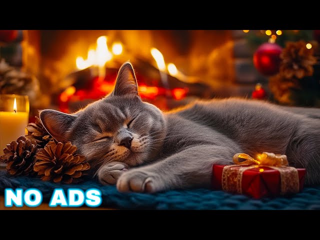 Relaxing music for cats 🐈 Anxiety relief music for cats 🐈 Soothe your cat with our piano music