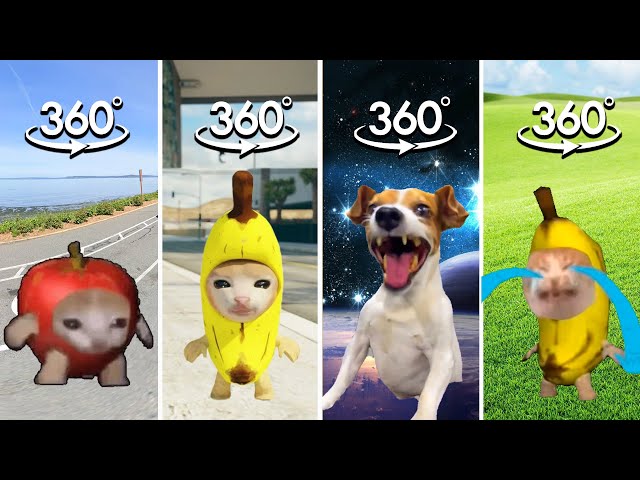 Find Banana Cat & Laughing Dog Meme COMPILATION | Banana Cat & Dog Finding Challenge 360º VR Video