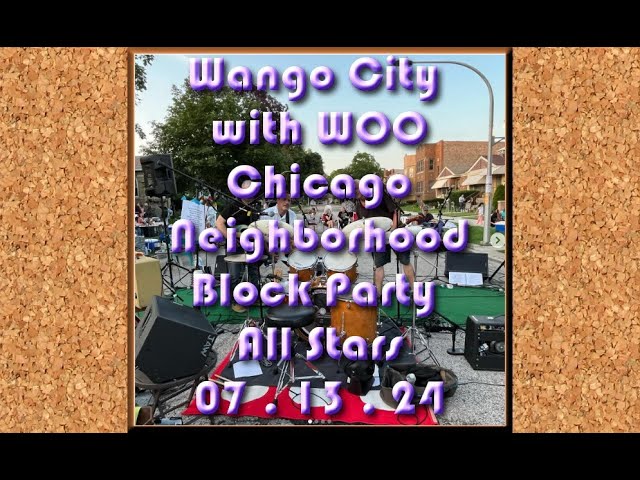 Another Piece of Meat Song by Scorpions cover by Woo #chicago #blockparty 071324 ProAudio4 #mv88