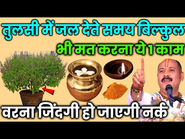 तुलसी में जल देते समय बिल्कुल भी मत करना ये काम वरना जिंदगी हो जाएगी नर्क | Vastu tips | Tulsi Puja