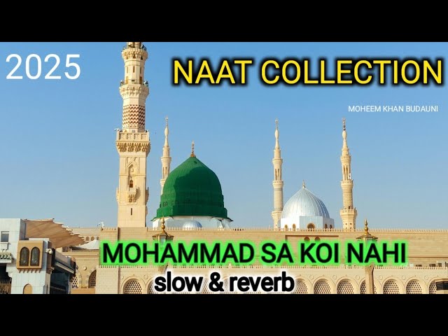 RAMZAN MUBARAK NAAT COLLECTION|MOST BEAUTIFUL NEW NAAT COLLECTION|TRENDING NAATS MOHEEM KHAN BUDAUNI