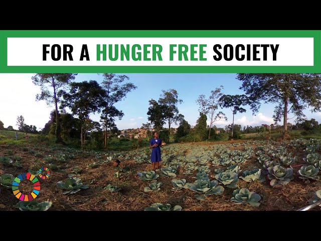 THE FARM COPS - FOR A HUNGER FREE SOCIETY: MY World 360º  2019