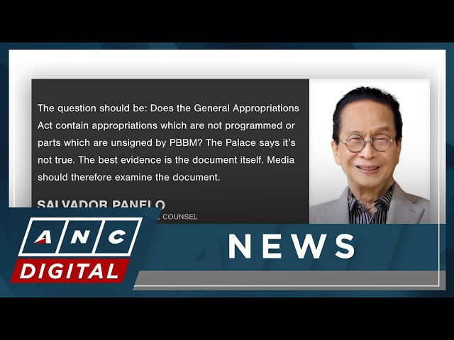 Panelo: Duterte's comments on 2025 budget his legal opinion on Rep. Ungab's 'blank' item findings