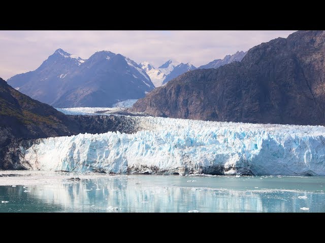 Glacier Bay National Park 🛳️ Golden Princess - Alaska Cruise