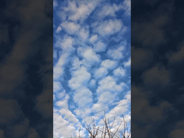 Beautiful Blue Sky Clouds | WhatsApp Status | #shorts #nature #clouds