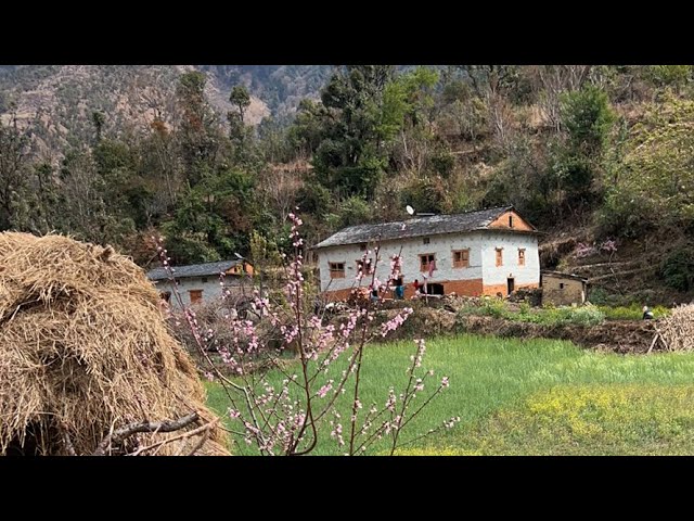 Nepali Mountain Village Jiree Walking Tour|| IamSuman