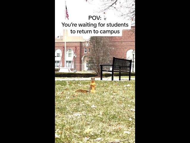 Our Campus Squirrels Miss the Students!