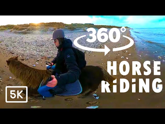 Horse Riding in 360° VR