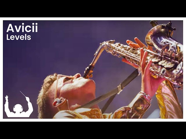 SYNTHONY - Avicii 'Levels' (Live at The Auckland Domain 2024) | ProShot 4K