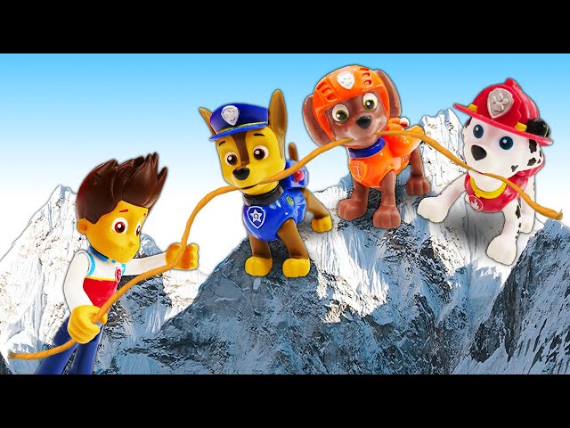 Paw Patrol toys & video for kids | Pups save Rider from the cave | Toys video