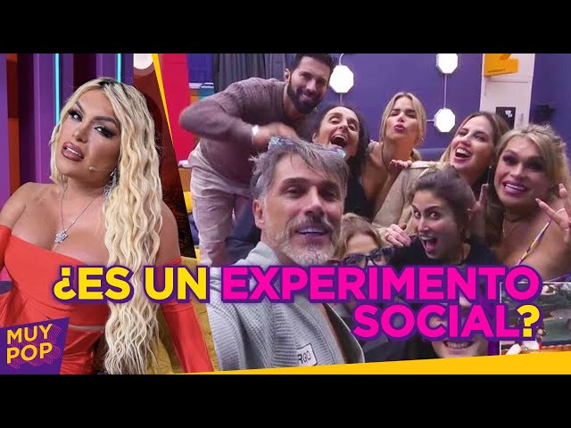 ¿Los reality shows son un experimento social? Por esta razón nos encantan