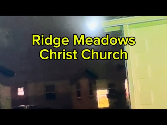 VIDEO. New neighbors in RIDGE MEADOWS creating a scene for residents - Christ Church - Barbados