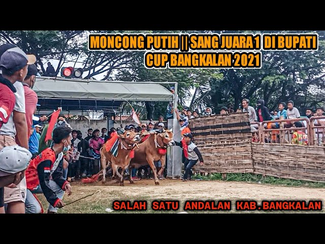 DETIK - DETIK BERTEMUNYA MONCONG PUTIH vs UDANG BALAP DI BUPATI CUP BANGKALAN 2021