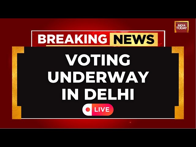 Delhi Polls LIVE Updates: Voting Underway In Delhi | AAP Vs BJP Vs Congress: Who Will Win?