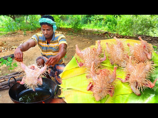 Thailand Punctured Chicken Fry VILLAGE Cooks